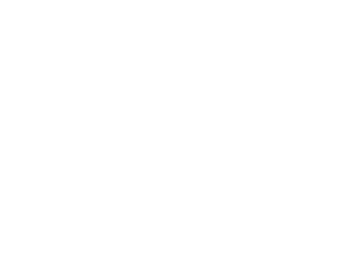 Bellecour VTC